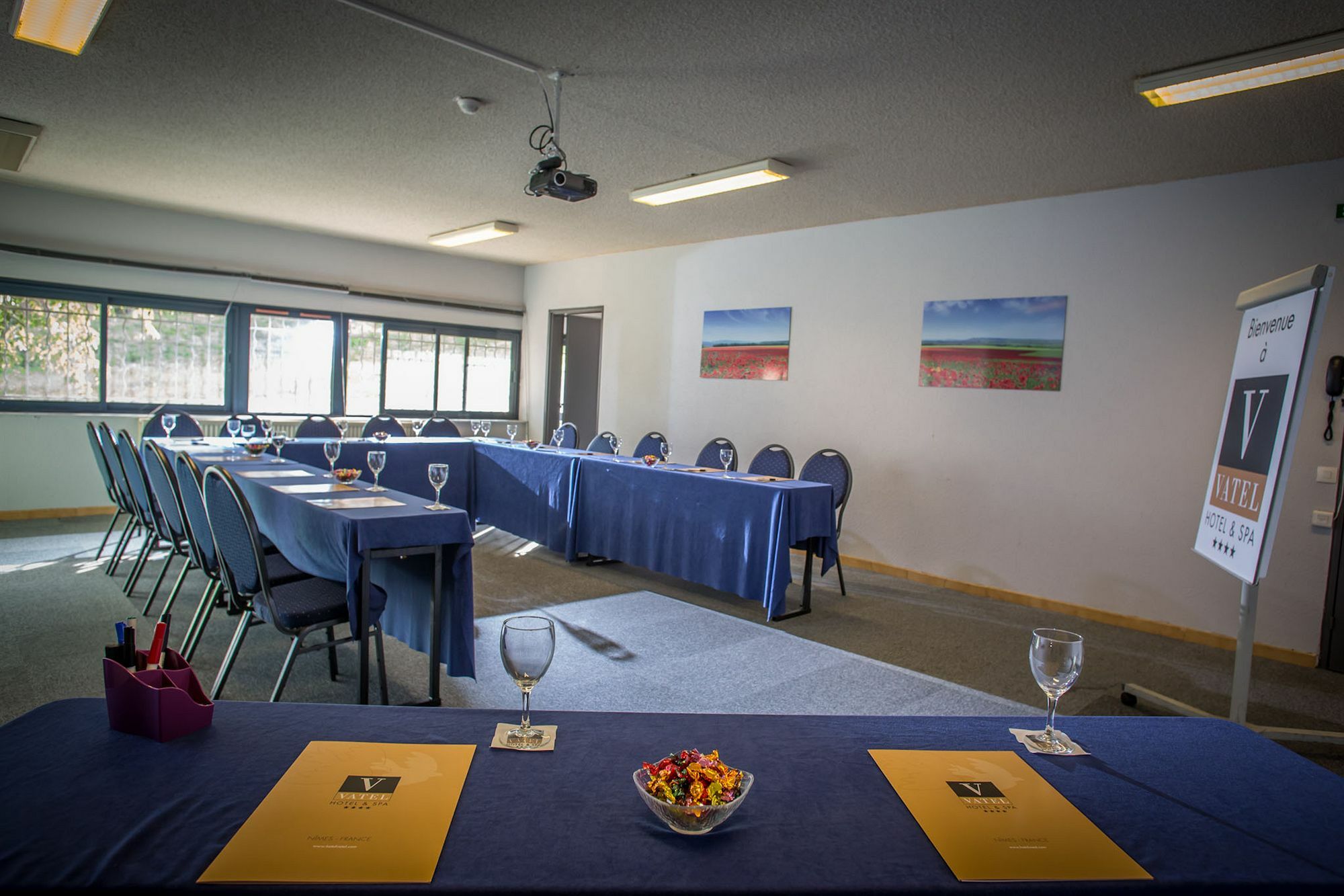 Hotel & Spa Vatel Nîmes Eksteriør billede